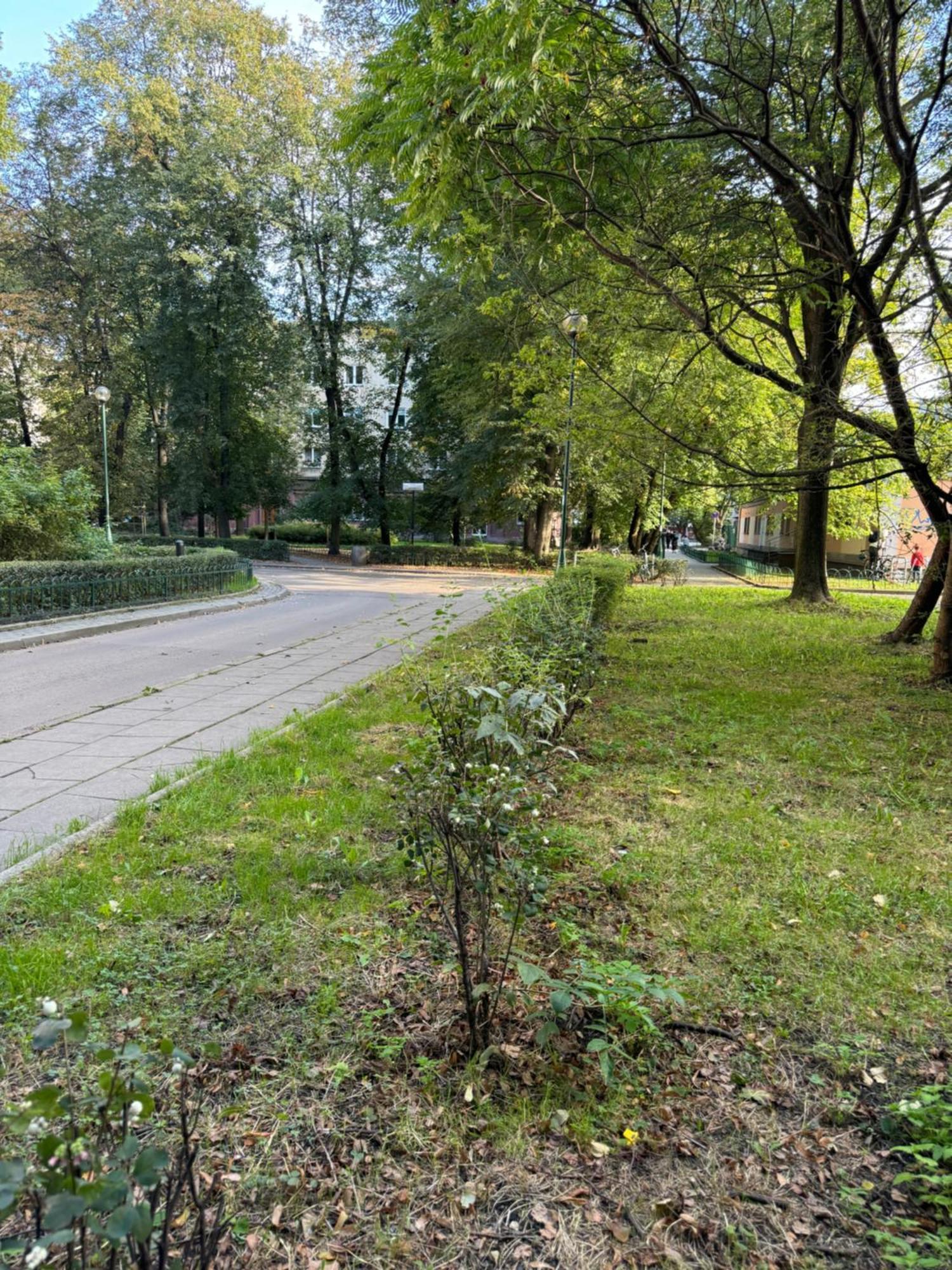 Juli Apartamento Cracovia